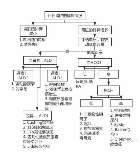 【周医·神内一】低钾血症健康知识